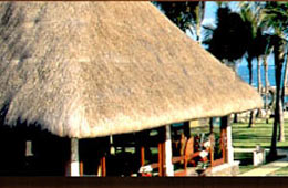 First Class Hotels in Periyar